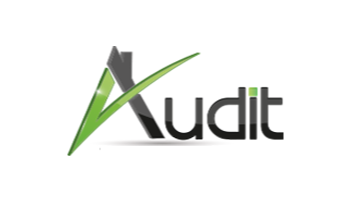 audit diagnostics